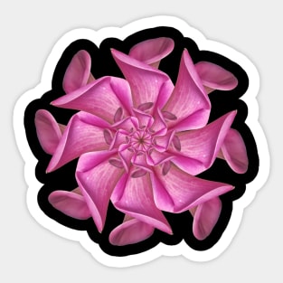 Radial Calla Lily Sticker